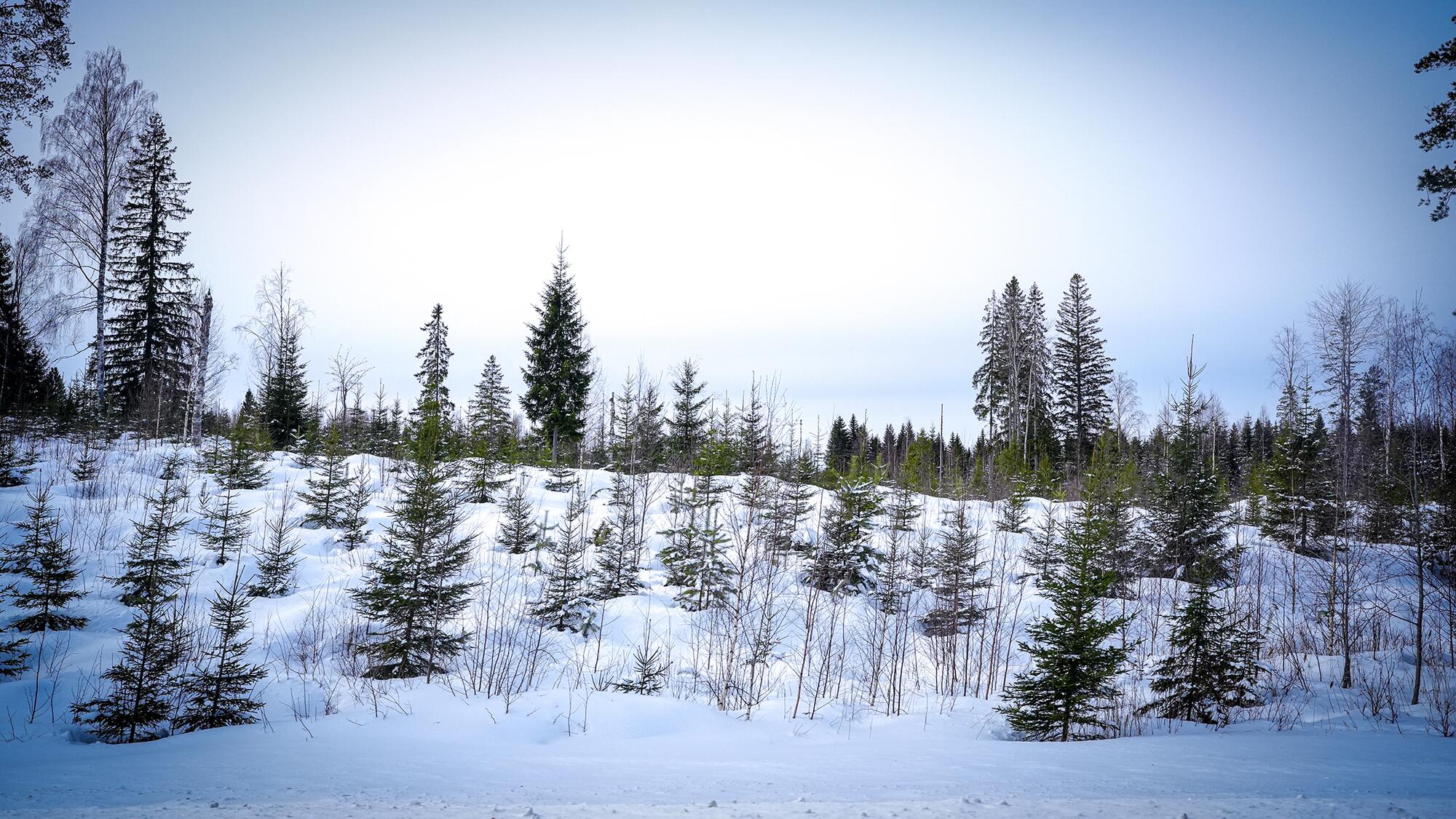 Joensuu - 2